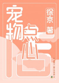 宠物情人